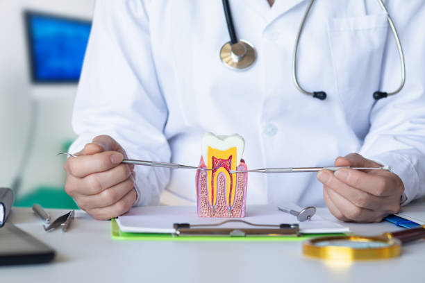 Best Emergency TMJ Treatment in Sylvania, AL